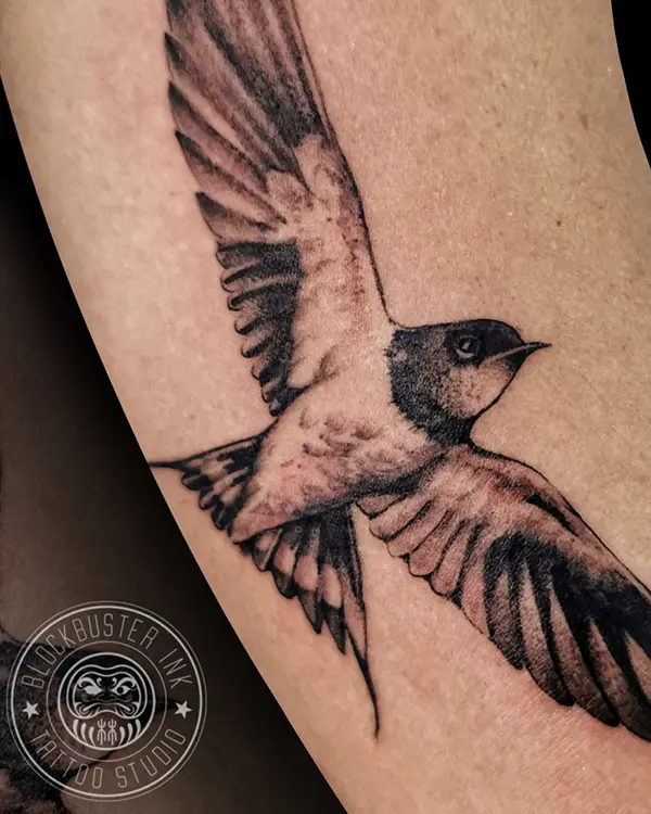 pipit-blockbusterink
